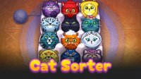 Cat Color Sorting Puzzle