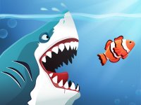Ocean Shark Feeding Adventure
