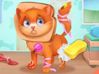 Pet Doctor Care Game