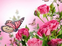 Butterfly Jigsaw Puzzle