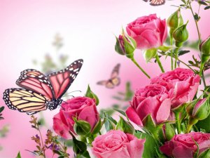 Butterflies Jigsaw Puzzle