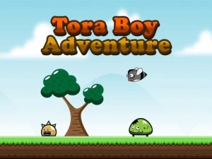 Tora Boy Adventure Arcade Game