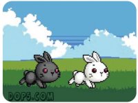 Bunny Two Rabbit Puzzle Game