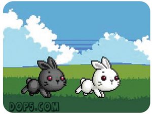 Bunny Two Rabbit Puzzle Game