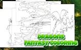 Dragons Fantasy Coloring Game