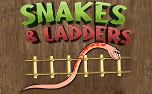 Snake and Ladder Ludo Online Board Game