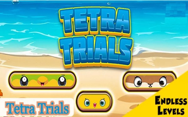 Tetra Trials Reverse Tetris Puzzle Online Game