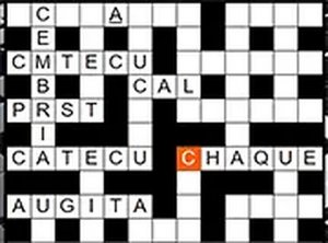 Spanish Word Grid Puzzle