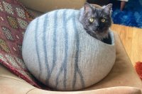 Cat Caves Tested: 2026 Picks for Every Feline Preference