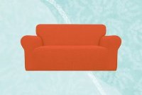 Cat-Proof Your Couch: A Buyer's Guide to Scratch Deterrents